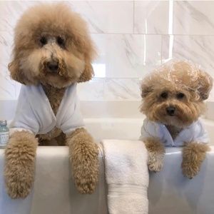 Hapu Dog Bath Robe - White - XS and M/L